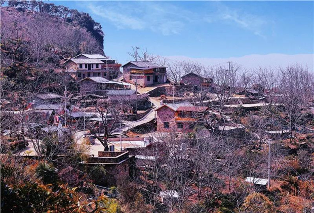 普洱旅行社：【文化】中國哈尼族最后的石頭寨——巖子營